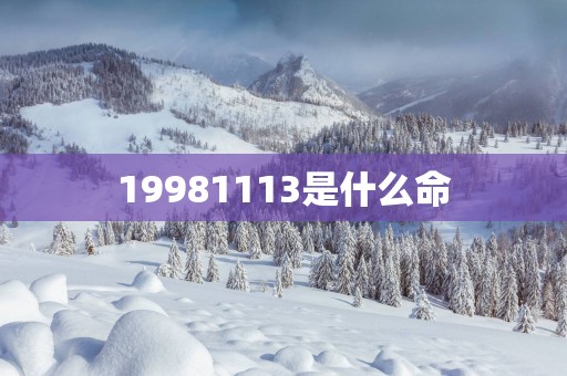 19981113是什么命
