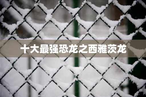 十大最强恐龙之西雅茨龙
