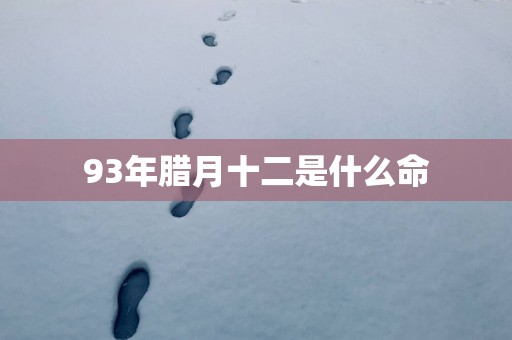93年腊月十二是什么命