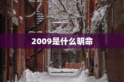 2009是什么明命