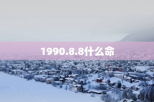 1990.8.8什么命