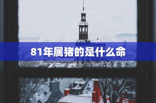 81年属猪的是什么命