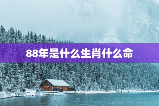 88年是什么生肖什么命