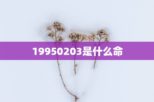 19950203是什么命