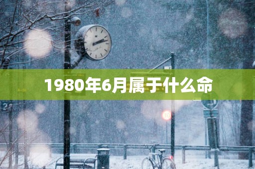 1980年6月属于什么命