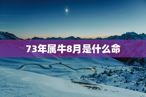73年属牛8月是什么命
