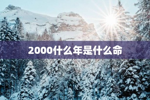 2000什么年是什么命