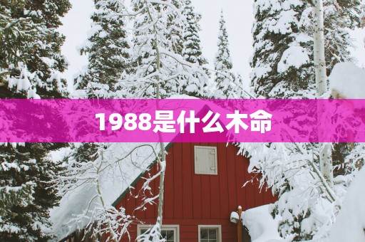 1988是什么木命