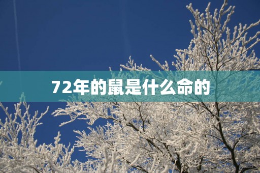 72年的鼠是什么命的