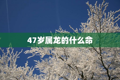47岁属龙的什么命