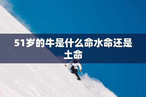 51岁的牛是什么命水命还是土命