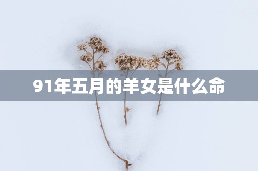 91年五月的羊女是什么命