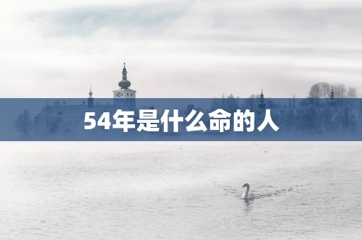 54年是什么命的人