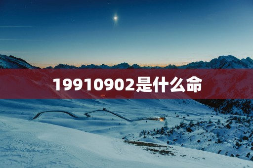 19910902是什么命