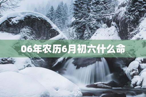 06年农历6月初六什么命