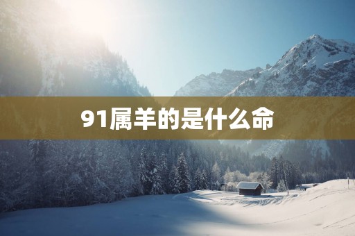 91属羊的是什么命