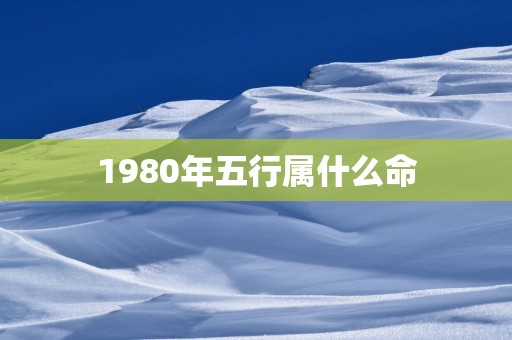 1980年五行属什么命