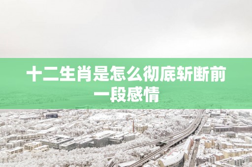 十二生肖是怎么彻底斩断前一段感情