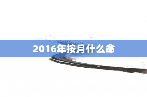 2016年按月什么命