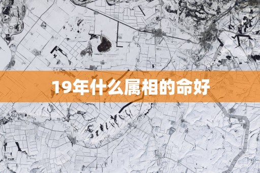 19年什么属相的命好