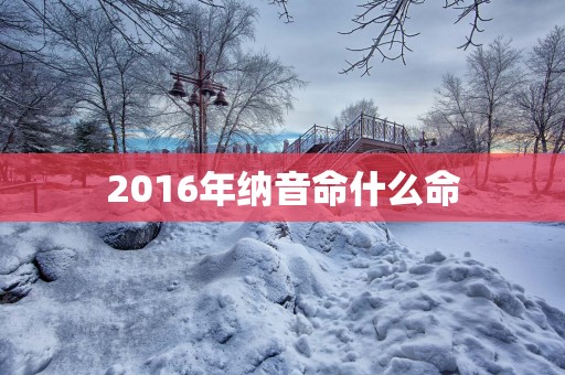 2016年纳音命什么命