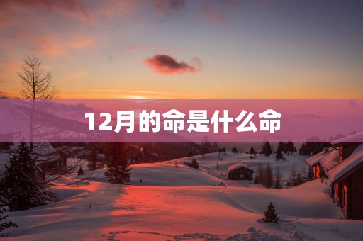 12月的命是什么命