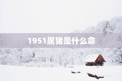 1951属猪是什么命