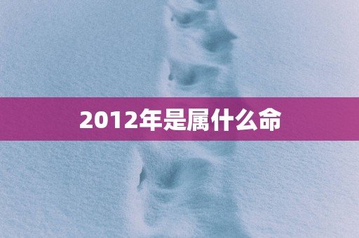2012年是属什么命
