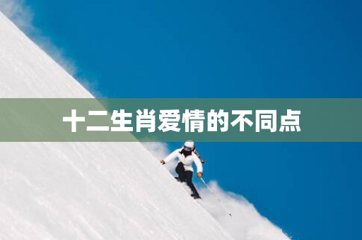 十二生肖爱情的不同点