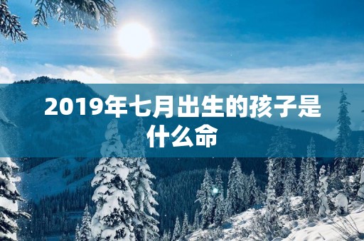 2019年七月出生的孩子是什么命