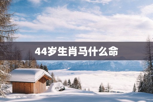 44岁生肖马什么命