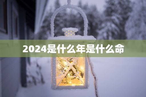 2025是什么年是什么命