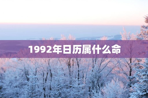 1992年日历属什么命