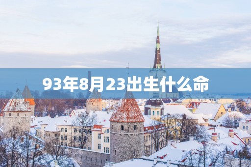 93年8月23出生什么命