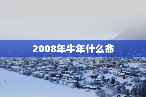 2008年蛇年什么命