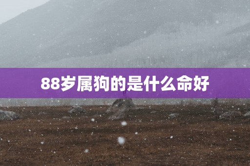88岁属狗的是什么命好