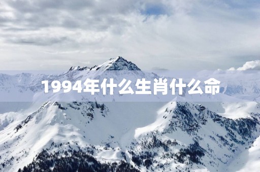 1994年什么生肖什么命