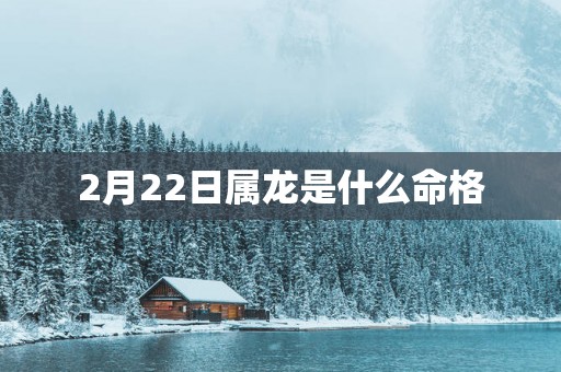 2月22日属龙是什么命格