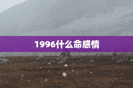1996什么命感情