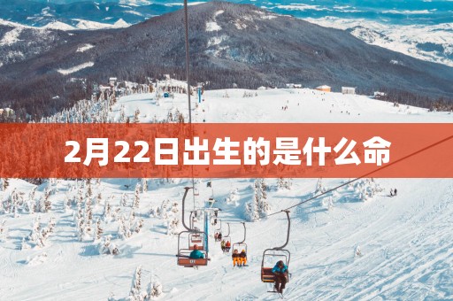 2月22日出生的是什么命