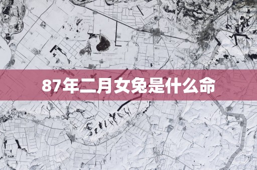 87年二月女兔是什么命