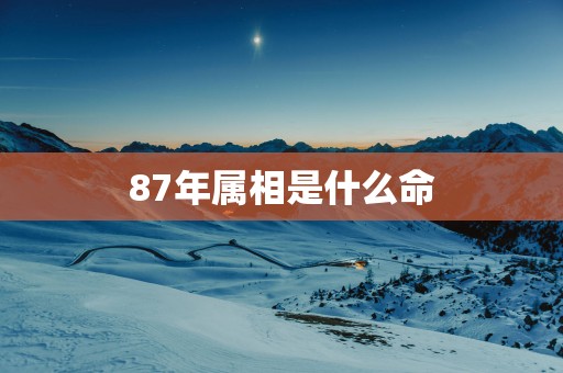 87年属相是什么命
