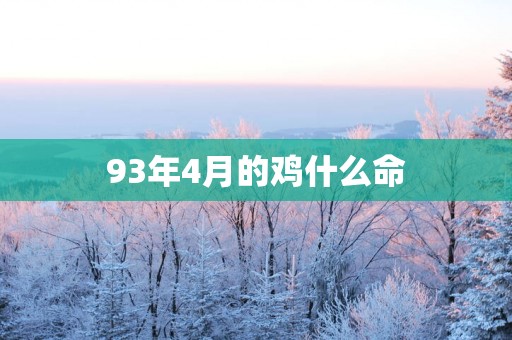 93年4月的鸡什么命