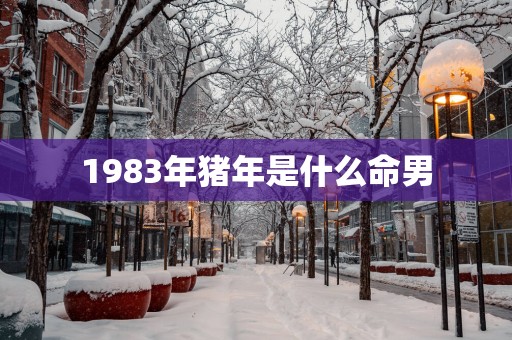 1983年猪年是什么命男