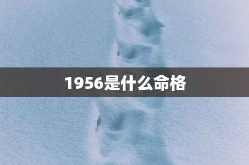 1956是什么命格
