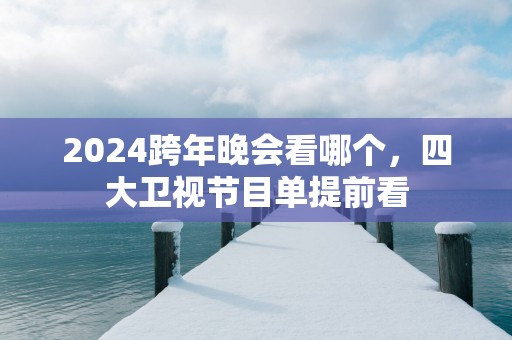 2025跨年晚会看哪个，四大卫视节目单提前看