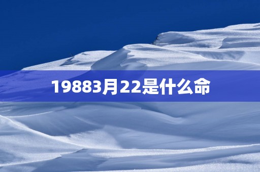 19883月22是什么命