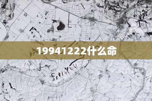 19941222什么命