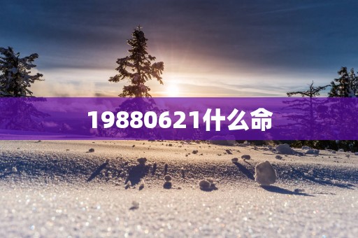 19880621什么命