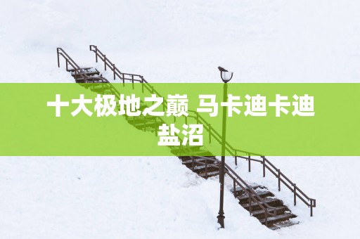 十大极地之巅 马卡迪卡迪盐沼